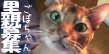 gobo-猫の日キネン・第二回くるっピーまつり？ありがとうございましたｍ(＿ ＿)ｍ